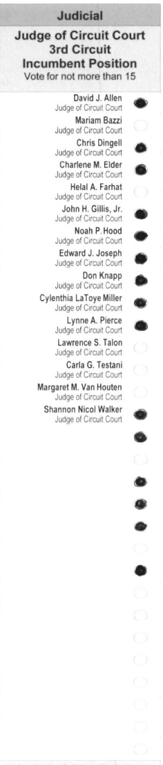 Primary-style BMD ballot example 11